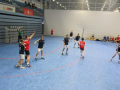 2019_handball_schwalbe_01