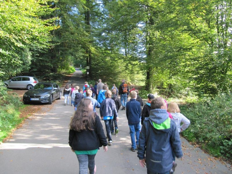 2015_waldschule_01