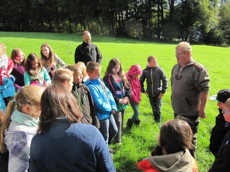 2015_waldschule_04