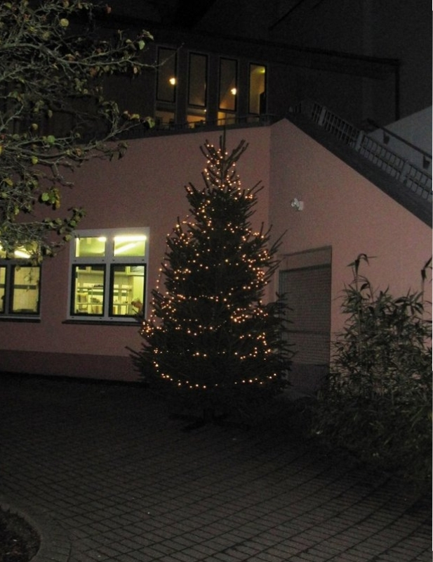 2015_weihnachtsbaum_01