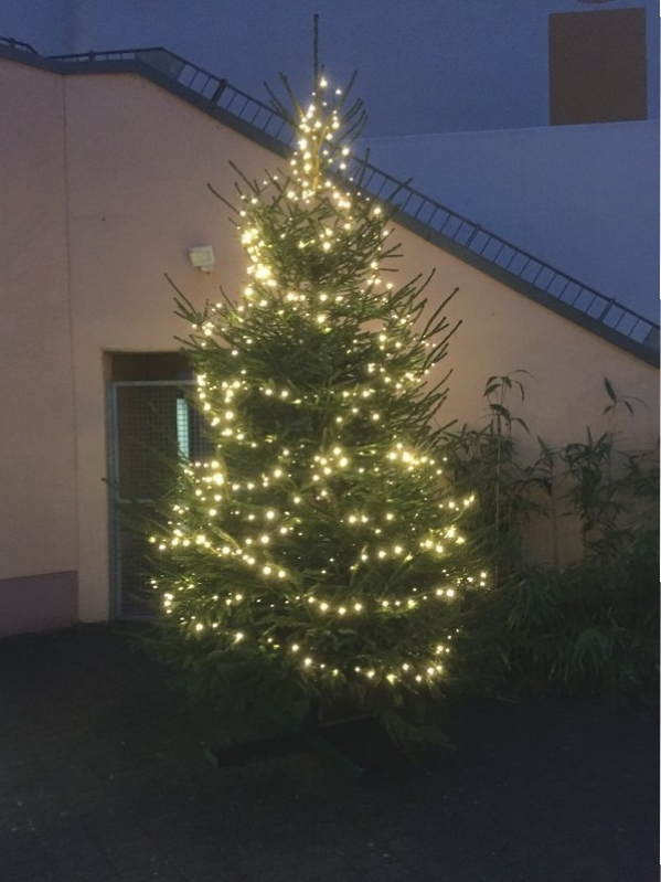 2015_weihnachtsbaum_04