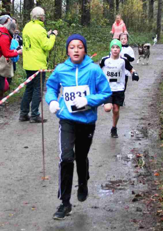 2019_herbstlauf_01