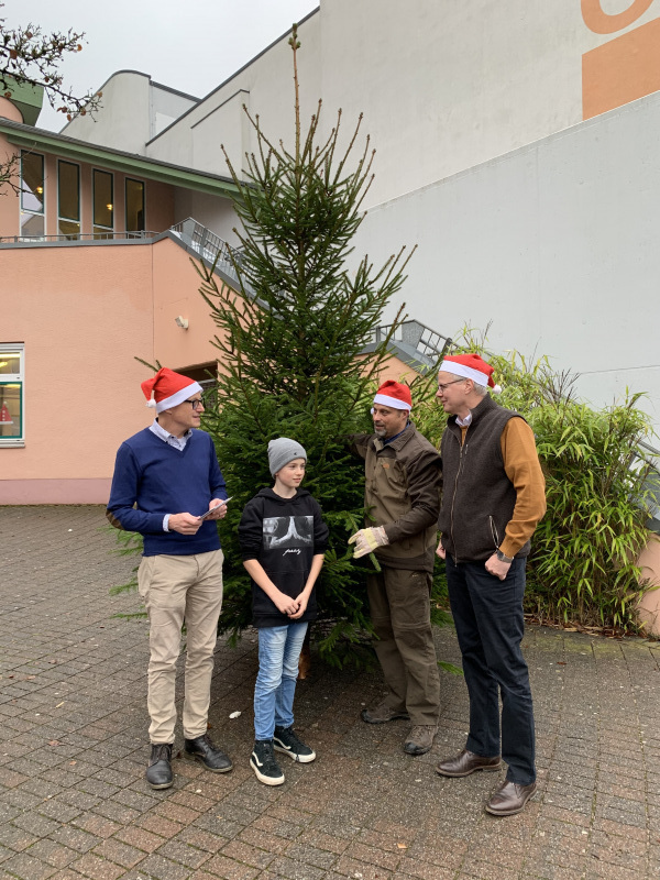 2019_weihnachtsbaum_01