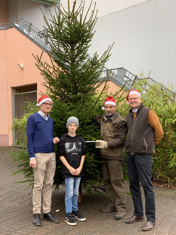 2019_weihnachtsbaum_03