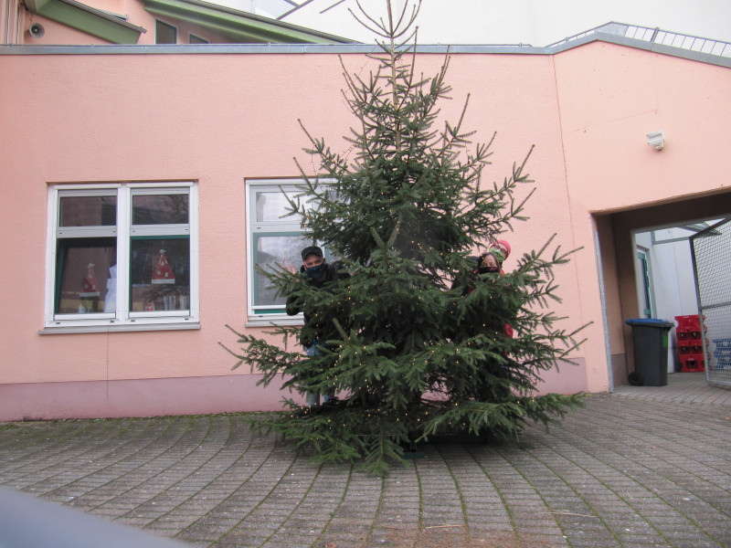 2020_weihnachtsbaum_03