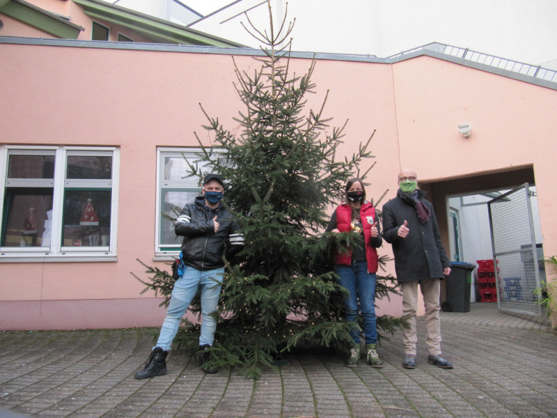 2020_weihnachtsbaum_04