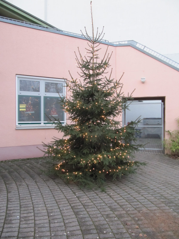 2020_weihnachtsbaum_05