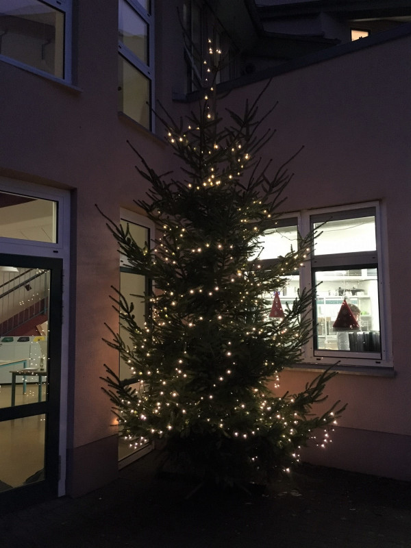 2021_weichnachtsbaum_02