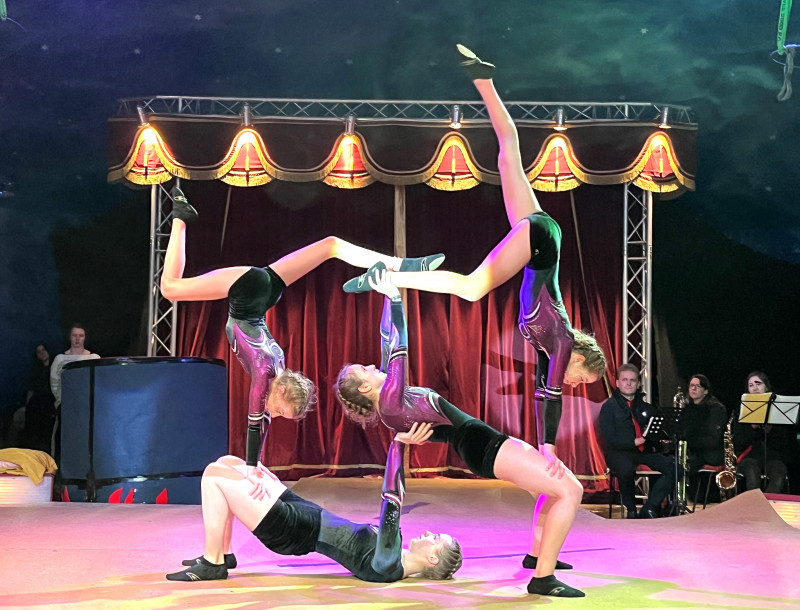 2024_ankuendigung_zirkus_01