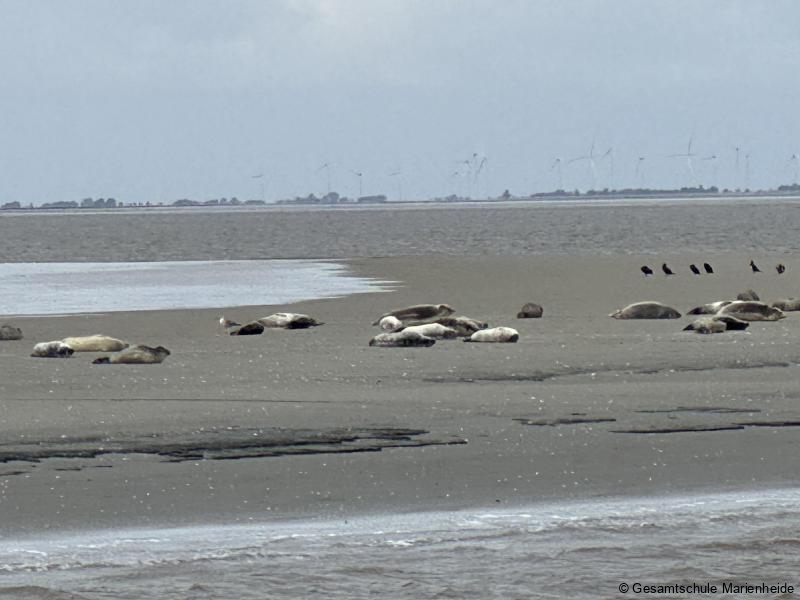 2025_cuxhaven_02