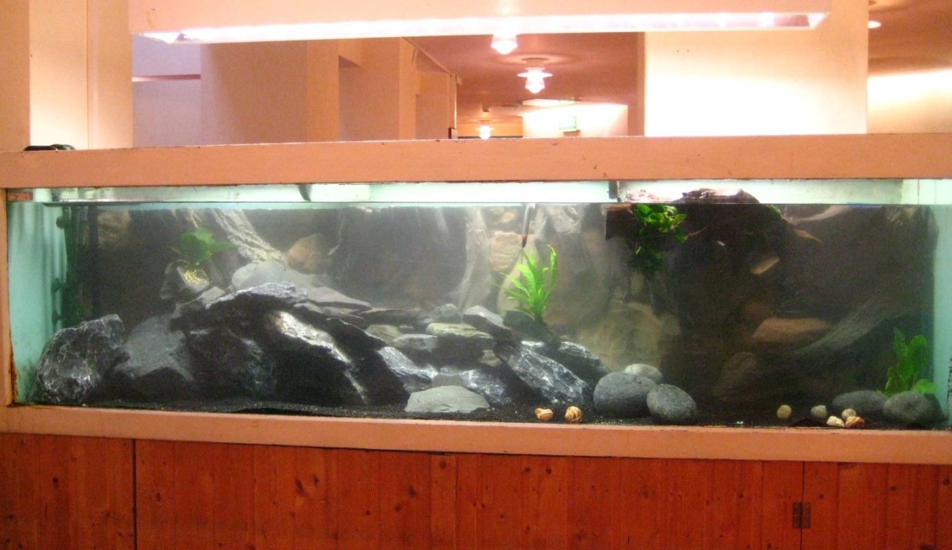2014_aquarium