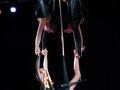 2025_zirkus