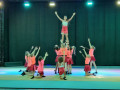 08_2026_zirkus
