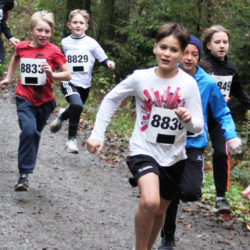 Gesamtschule nahm am Herbstwaldlauf 2019 rund um die Brucher teil