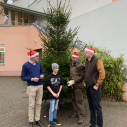 Weihnachtsbaum vor der Mensa