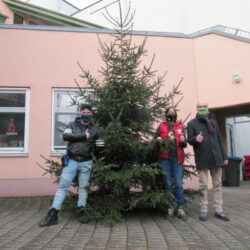Weihnachtsbaum funkelt wieder