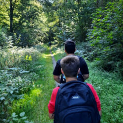 Die Klasse 5c der Gesamtschule Marienheide besucht BSO in Nümbrecht Von Fröschen, Mäusen und der Freude, einen Baum zu umarmen