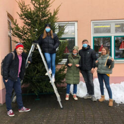 SV schmückt Weihnachtsbaum