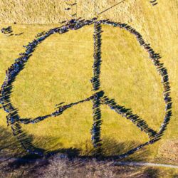 Gesamtschule Marienheide setzt sichtbares Zeichen gegen den Krieg