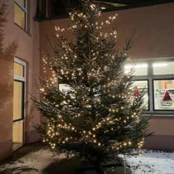 Weihnachtsbaum an der Gesamtschule Marienheide