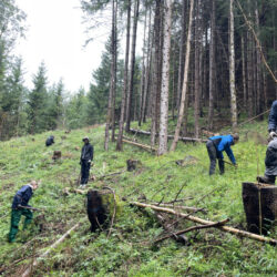 Intensive Naturerfahrung beim Bergwald-Projekt im Oberallgäu