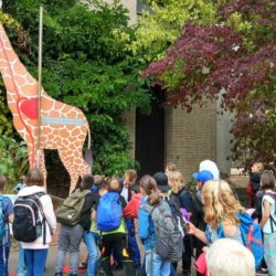 Thema ‚Wald und Tiere‘ – Abschluss der Themenwoche im Kölner Zoo